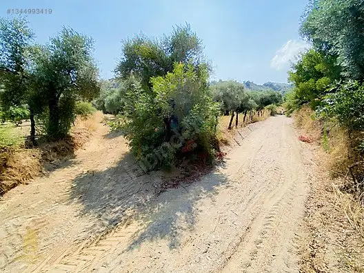 Satılık Arsa — Koçak Mahallesi, Köşk / Aydın — fotoğraf 1