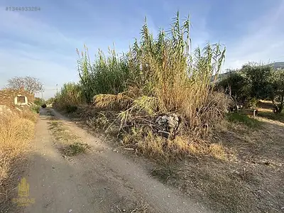 Satılık Arsa — Karahayıt Mahallesi, Efeler / Aydın — fotoğraf 2