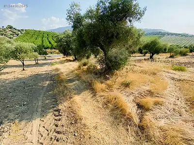 Satılık Arsa — Direcik Mahallesi, Yenipazar / Aydın — fotoğraf 2