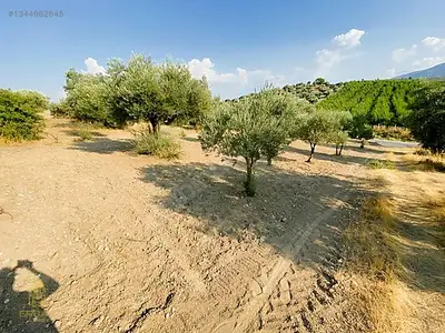 Satılık Arsa — Direcik Mahallesi, Yenipazar / Aydın — fotoğraf 3