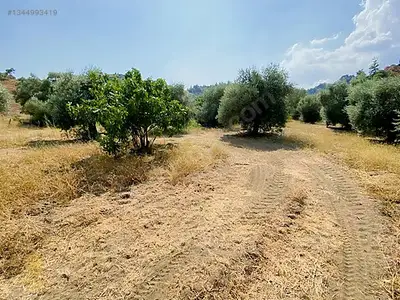Satılık Arsa — Koçak Mahallesi, Köşk / Aydın — fotoğraf 3