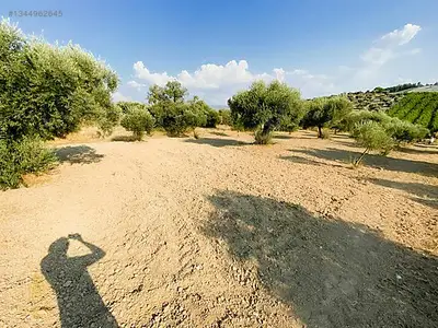 Satılık Arsa — Direcik Mahallesi, Yenipazar / Aydın — fotoğraf 4