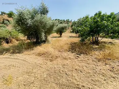 Satılık Arsa — Koçak Mahallesi, Köşk / Aydın — fotoğraf 4