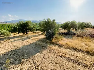 Satılık Arsa — Direcik Mahallesi, Yenipazar / Aydın — fotoğraf 5