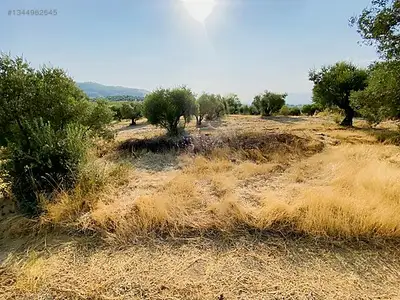 Satılık Arsa — Direcik Mahallesi, Yenipazar / Aydın — fotoğraf 6