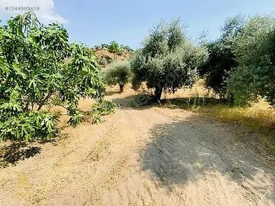 Satılık Arsa — Koçak Mahallesi, Köşk / Aydın — fotoğraf 6