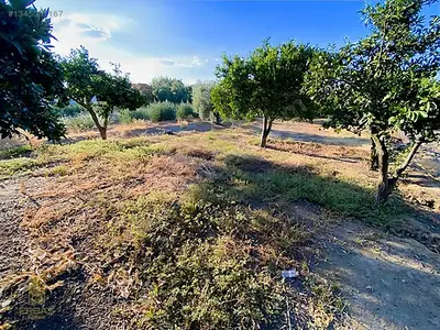 Satılık Arsa — Donduran Mahallesi, Yenipazar / Aydın — fotoğraf 6