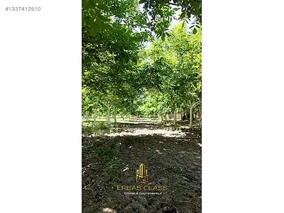 Satılık Arsa — Serçeköy Mahallesi, Efeler / Aydın — fotoğraf 7