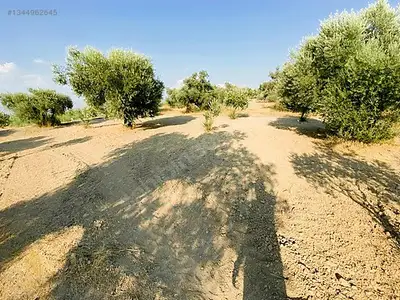 Satılık Arsa — Direcik Mahallesi, Yenipazar / Aydın — fotoğraf 7