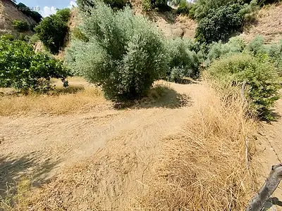Satılık Arsa — Koçak Mahallesi, Köşk / Aydın — fotoğraf 7