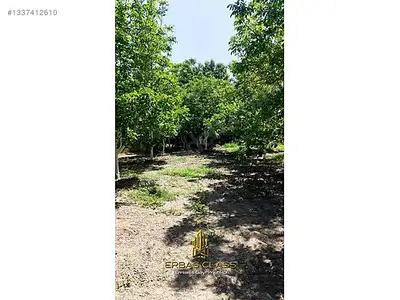 Satılık Arsa — Serçeköy Mahallesi, Efeler / Aydın — fotoğraf 8