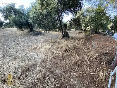 Satılık Arsa — Karahayıt Mahallesi, Efeler / Aydın — fotoğraf 8