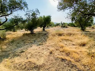 Satılık Arsa — Direcik Mahallesi, Yenipazar / Aydın — fotoğraf 8