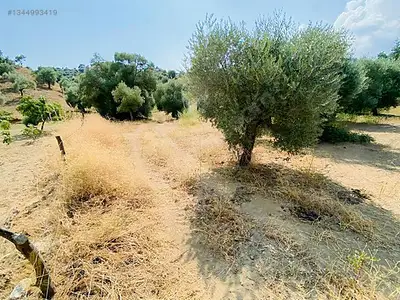 Satılık Arsa — Koçak Mahallesi, Köşk / Aydın — fotoğraf 8