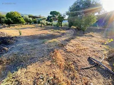 Satılık Arsa — Donduran Mahallesi, Yenipazar / Aydın — fotoğraf 8