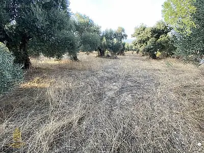 Satılık Arsa — Karahayıt Mahallesi, Efeler / Aydın — fotoğraf 9