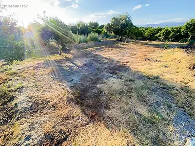 Satılık Arsa — Donduran Mahallesi, Yenipazar / Aydın — fotoğraf 9