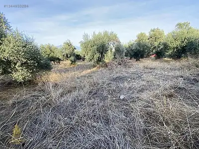 Satılık Arsa — Karahayıt Mahallesi, Efeler / Aydın — fotoğraf 10