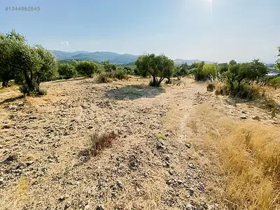 Satılık Arsa — Direcik Mahallesi, Yenipazar / Aydın — fotoğraf 10
