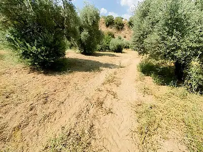 Satılık Arsa — Koçak Mahallesi, Köşk / Aydın — fotoğraf 10