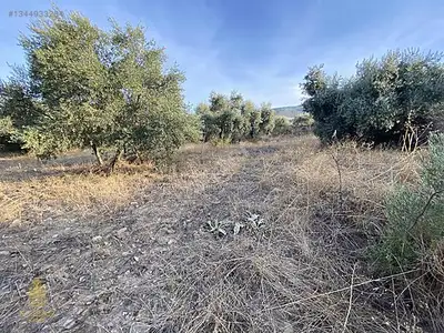 Satılık Arsa — Karahayıt Mahallesi, Efeler / Aydın — fotoğraf 11