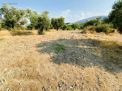 Satılık Arsa — Direcik Mahallesi, Yenipazar / Aydın — fotoğraf 11