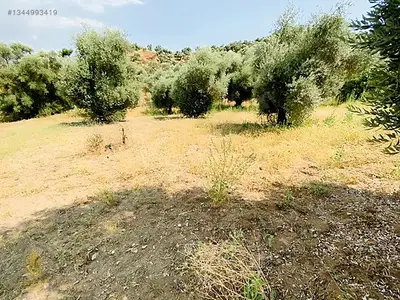 Satılık Arsa — Koçak Mahallesi, Köşk / Aydın — fotoğraf 11