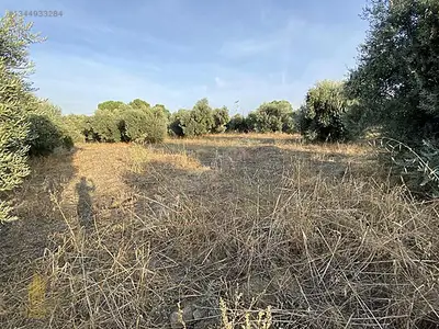 Satılık Arsa — Karahayıt Mahallesi, Efeler / Aydın — fotoğraf 12