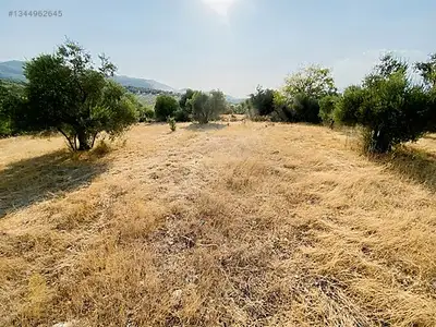 Satılık Arsa — Direcik Mahallesi, Yenipazar / Aydın — fotoğraf 12