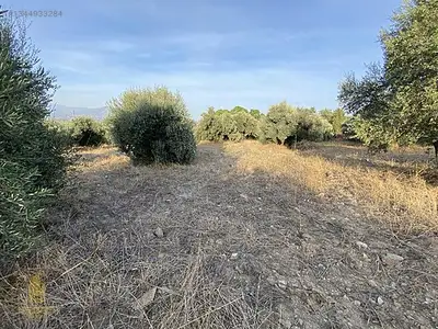 Satılık Arsa — Karahayıt Mahallesi, Efeler / Aydın — fotoğraf 13