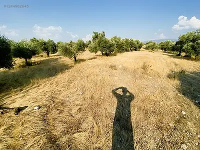 Satılık Arsa — Direcik Mahallesi, Yenipazar / Aydın — fotoğraf 13