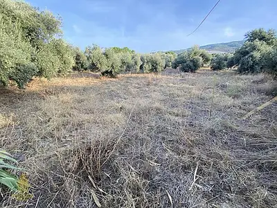 Satılık Arsa — Karahayıt Mahallesi, Efeler / Aydın — fotoğraf 14