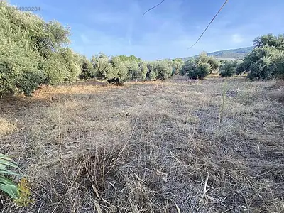 Satılık Arsa — Karahayıt Mahallesi, Efeler / Aydın — fotoğraf 15