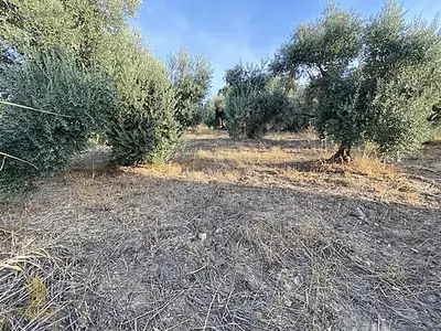 Satılık Arsa — Karahayıt Mahallesi, Efeler / Aydın — fotoğraf 16