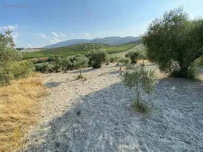 Satılık Arsa — Direcik Mahallesi, Yenipazar / Aydın — fotoğraf 17