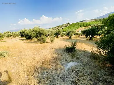 Satılık Arsa — Direcik Mahallesi, Yenipazar / Aydın — fotoğraf 18