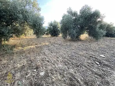 Satılık Arsa — Karahayıt Mahallesi, Efeler / Aydın — fotoğraf 19