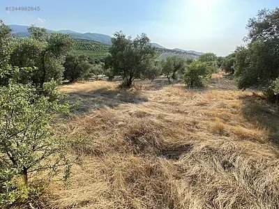 Satılık Arsa — Direcik Mahallesi, Yenipazar / Aydın — fotoğraf 20