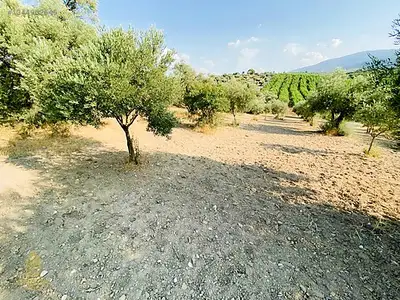 Satılık Arsa — Direcik Mahallesi, Yenipazar / Aydın — fotoğraf 22
