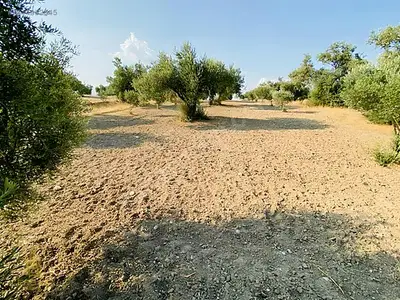 Satılık Arsa — Direcik Mahallesi, Yenipazar / Aydın — fotoğraf 23