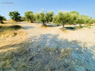 Satılık Arsa — Direcik Mahallesi, Yenipazar / Aydın — fotoğraf 26