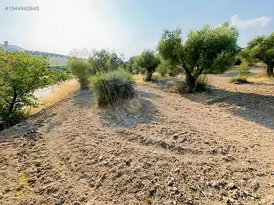 Satılık Arsa — Direcik Mahallesi, Yenipazar / Aydın — fotoğraf 28