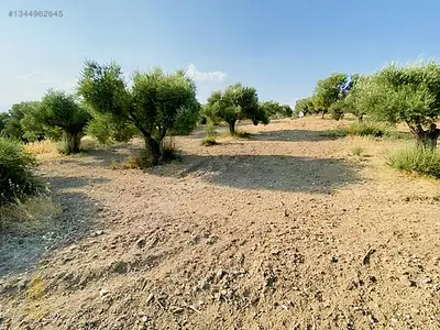 Satılık Arsa — Direcik Mahallesi, Yenipazar / Aydın — fotoğraf 29